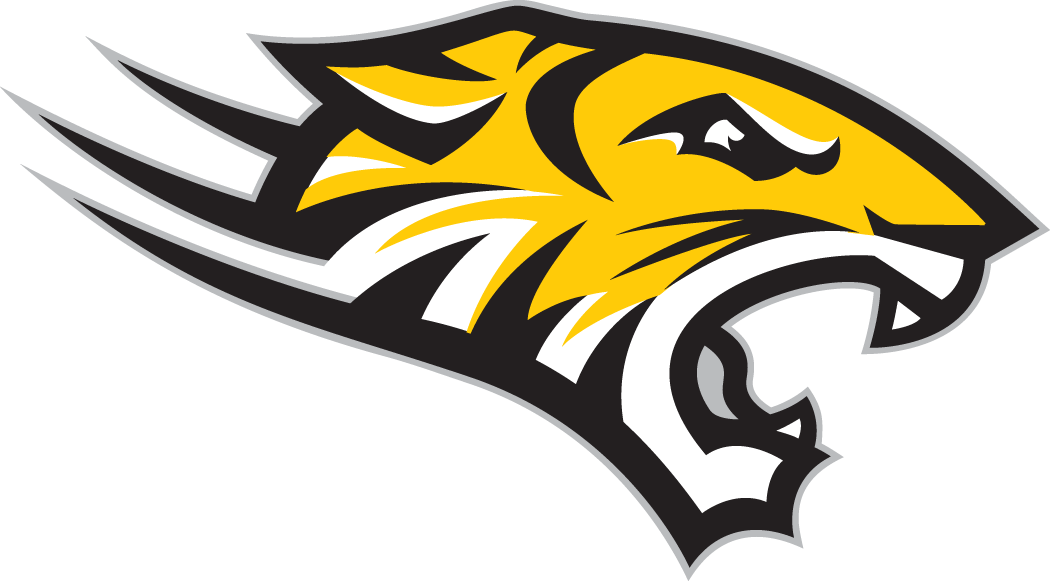 Towson Tigers 2004-Pres Alternate Logo 02 iron on paper